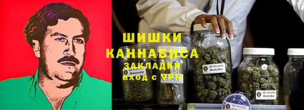 сатива Армянск