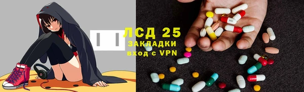 сатива Армянск