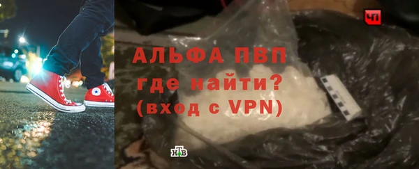 сатива Армянск