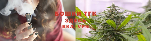 сатива Армянск