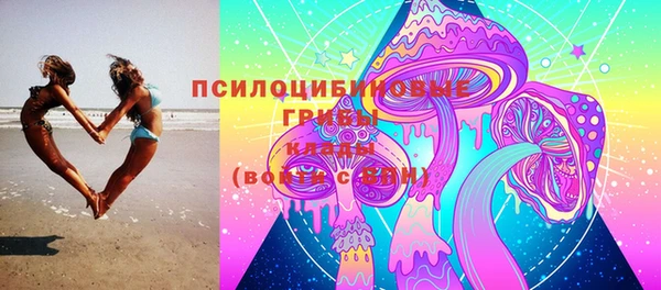 прущая мука Арсеньев