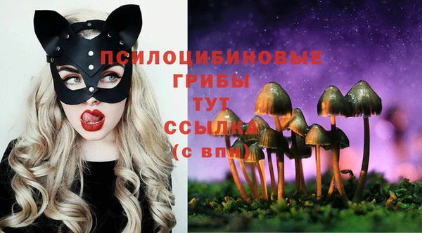 мескалин Аркадак