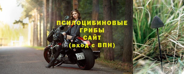 сатива Армянск