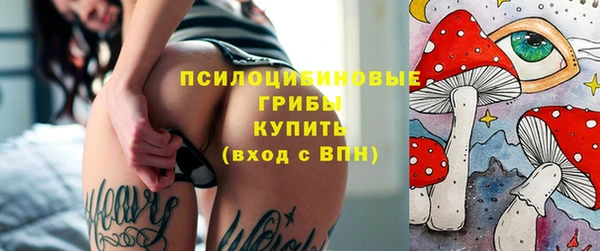 прущая мука Арсеньев
