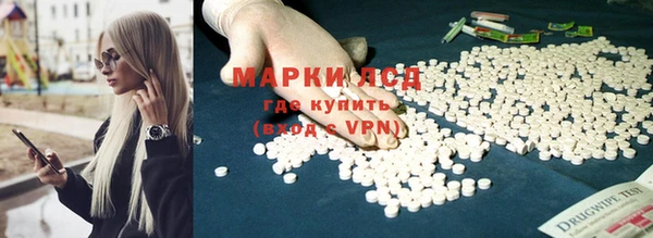 сатива Армянск
