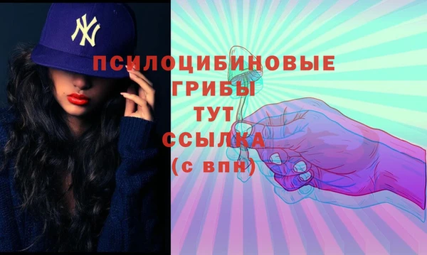 сатива Армянск